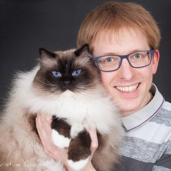 chat Ragdoll seal point mitted Castiel Indy Trycoline’s chat Ragdoll seal point mitted Castiel Indy Trycoline’s