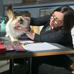 Syllia D'Original Cats (GIC) à l'expo