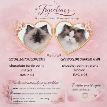 Messenger_creation_3444C7A0-4B48-403D-A24B-A667824290C6