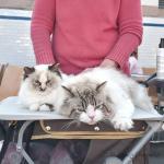 TRAVIS+AKSHÄYA  (4 sur 5)